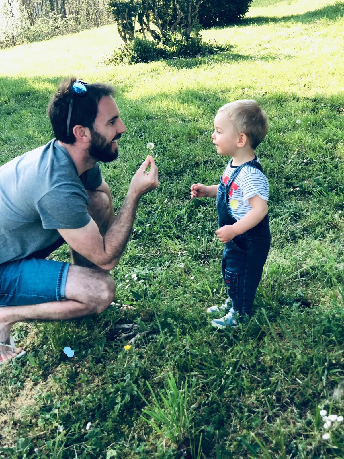 Illustration sur la thérapie familiale et les séparations